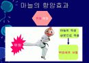 김치의 영양적 특성과 발효과정 26페이지