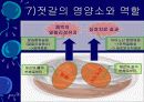 김치의 영양적 특성과 발효과정 28페이지