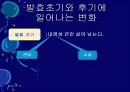 김치의 영양적 특성과 발효과정 42페이지