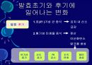 김치의 영양적 특성과 발효과정 44페이지