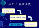 김치의 영양적 특성과 발효과정 47페이지