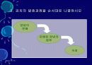 김치의 영양적 특성과 발효과정 61페이지