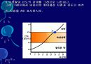 김치의 영양적 특성과 발효과정 62페이지