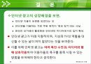 인터넷 광고의 유형과 특성 14페이지