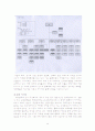 [전략경영론]유통혁신 ‘하이마트’ 경영분석 및 향후전략 (A+리포트) 13페이지