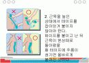 키네시오 테이핑 요법의 원리, 효과, 시술방법, 교육과정 및 직업전망 11페이지