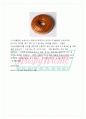 '크리스피 크림 도넛의 마케팅 전략' 보고서 입니다. 마케팅 원론 시간에 A+ 받은 레포트 입니다.  75페이지