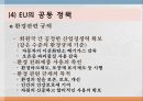 경제공동체1(EU,APEC) 40페이지