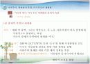 세계화에 대한 분석 및 전망 12페이지