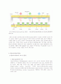탄소나노튜브를 이용한 디스플레이 6페이지