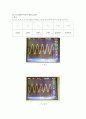 capacitor-coupled BJT 증폭기 실험 보고서 7페이지