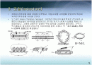 코일(Inductore)에 대한 자료정리 1페이지