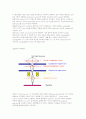 자성 복합체와 자성 박막의 제작 및 전파흡수 특성 해석 23페이지