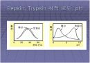   미생물의_효소  8페이지