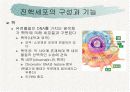 세포의 미세구조와 기능-진핵세포 11페이지