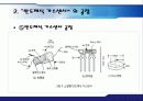 가스센서와 반도체식 가스센서의 발표자료(ppt) 22페이지