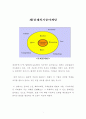 한국기업의 글로벌 경영 4페이지