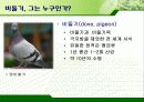 서울시의 과다한 비둘기의 폐해와 그 해결방안(파워포인트 발표 자료) 3페이지
