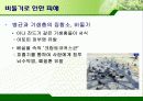 서울시의 과다한 비둘기의 폐해와 그 해결방안(파워포인트 발표 자료) 7페이지