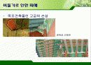 서울시의 과다한 비둘기의 폐해와 그 해결방안(파워포인트 발표 자료) 9페이지