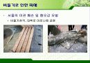 서울시의 과다한 비둘기의 폐해와 그 해결방안(파워포인트 발표 자료) 11페이지