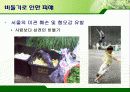 서울시의 과다한 비둘기의 폐해와 그 해결방안(파워포인트 발표 자료) 12페이지