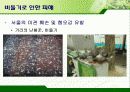 서울시의 과다한 비둘기의 폐해와 그 해결방안(파워포인트 발표 자료) 13페이지