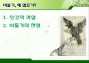 서울시의 과다한 비둘기의 폐해와 그 해결방안(파워포인트 발표 자료) 14페이지