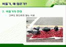 서울시의 과다한 비둘기의 폐해와 그 해결방안(파워포인트 발표 자료) 20페이지