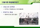 서울시의 과다한 비둘기의 폐해와 그 해결방안(파워포인트 발표 자료) 21페이지