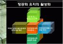 인천공항의 동북아 물류허브 개발전략 20페이지