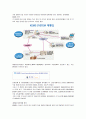 대한통운의 MIS  9페이지