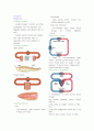 순환계 Circulation Chapter 33 Circulatory System 1페이지