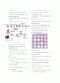 순환계 Circulation Chapter 33 Circulatory System 3페이지