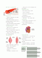 순환계 Circulation Chapter 33 Circulatory System 7페이지