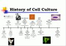 Animal cell culture PPT발표 3페이지