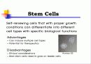 Animal cell culture PPT발표 8페이지