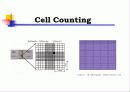 Animal cell culture PPT발표 14페이지