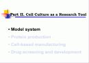 Animal cell culture PPT발표 15페이지