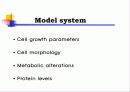 Animal cell culture PPT발표 16페이지