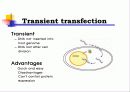 Animal cell culture PPT발표 20페이지