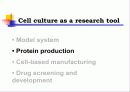 Animal cell culture PPT발표 22페이지