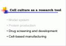 Animal cell culture PPT발표 26페이지