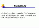 Animal cell culture PPT발표 27페이지