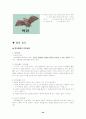 척추동물과 무척추동물의 모든 것 24페이지