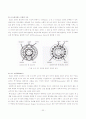 Brushless DC Motor의 속도 제어(졸업논문) 20페이지