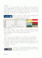 수변공간 비교 연구 - 유럽의 사례와 한강르네상스 프로젝트 [4대강유역사업] 10페이지