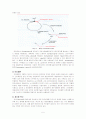 유전자조작 미생물을 이용한 물질생산 5페이지