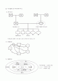 가족 간호과정 7페이지