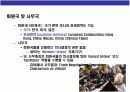 국제통상규범 & 국제기구(WTO 세계무역기구) 이해 12페이지